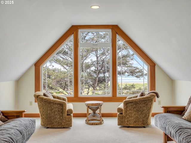 1021 S Prom, Seaside, OR 97138 - bonus room with vaulted ceiling, baseboards, recessed lighting, and carpet