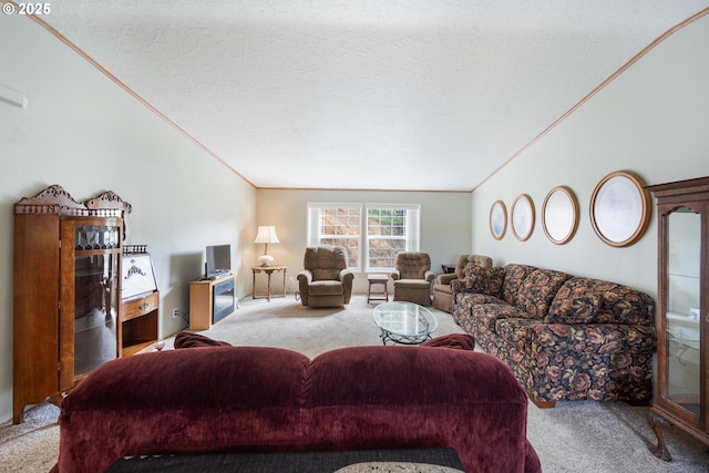 carpeted living room with a textured ceiling and vaulted ceiling