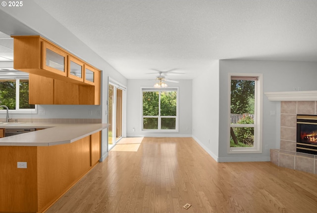 interior space featuring glass insert cabinets, light wood-style flooring, a sink, a fireplace, and light countertops