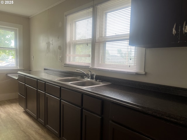 103 NW 10th Ave, Milton-Freewater, OR 97862 - kitchen featuring a sink, ornamental molding, dark countertops, light wood finished floors, and baseboards