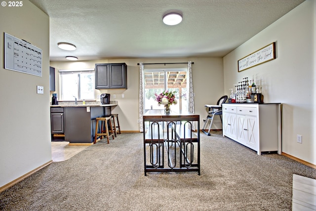 425 Warner St, Oregon City, OR 97045 - dining room with light carpet, baseboards, and a textured ceiling
