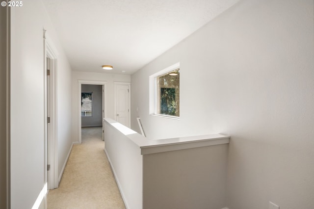 hall with light carpet, plenty of natural light, baseboards, and an upstairs landing