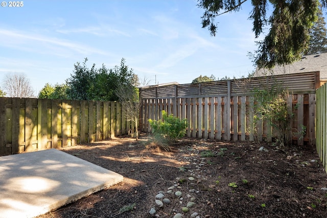 view of yard featuring a fenced backyard and a patio