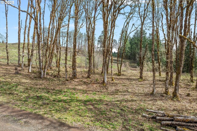 0 NW Berry Creek Rd # 1, Mcminnville, OR 97128