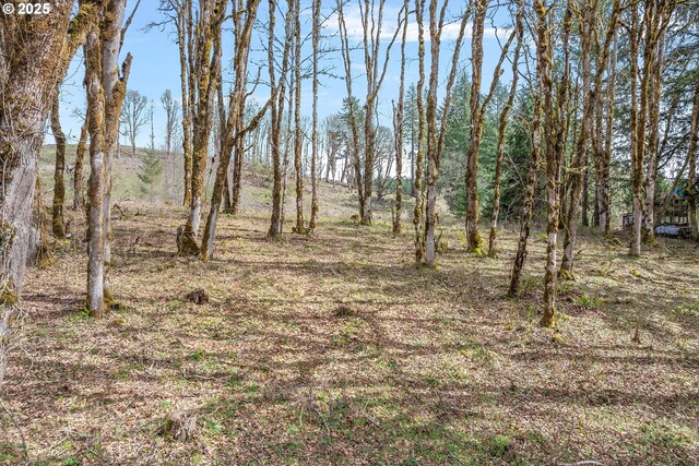 0 NW Berry Creek Rd # 1, Mcminnville, OR 97128