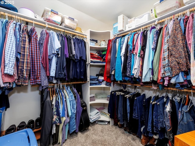 18495 Terry Ave, Lake Oswego, OR 97035 - walk in closet with carpet floors