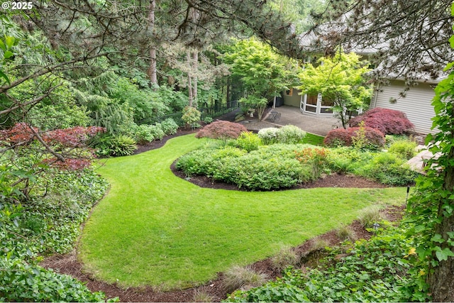 view of yard featuring a patio