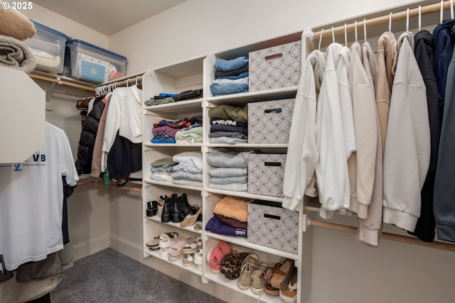 spacious closet with carpet