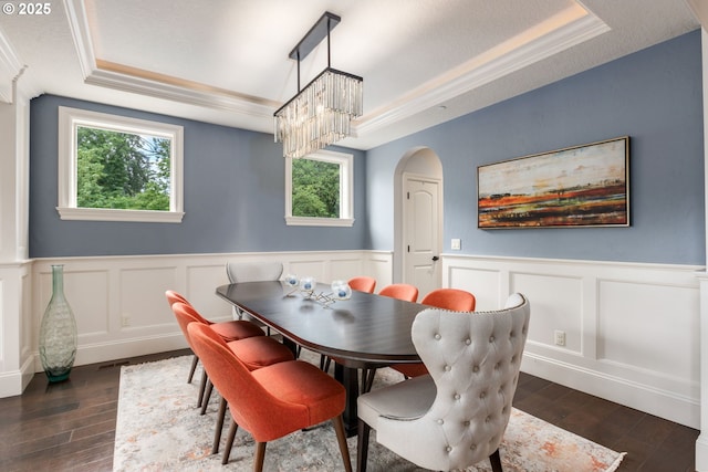 dining area featuring a tray ceiling, dark wood finished floors, and a healthy amount of sunlight