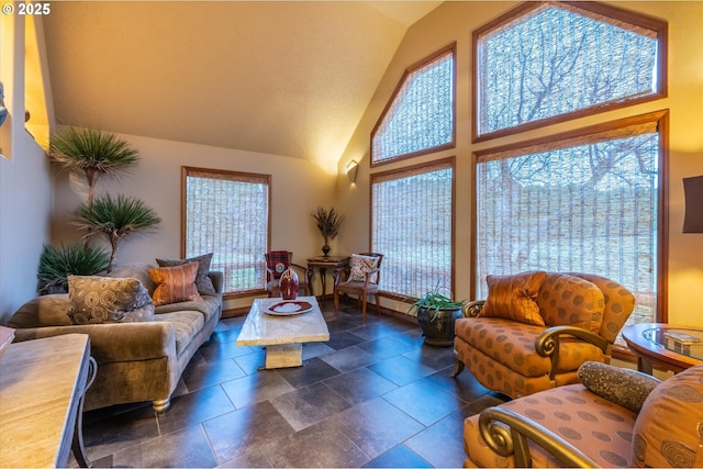 living room featuring high vaulted ceiling
