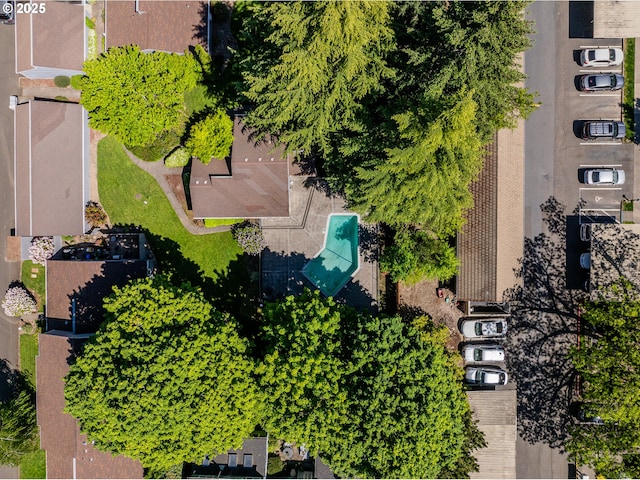 bird's eye view