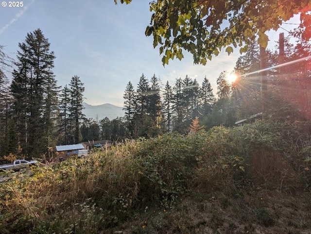 view of nature featuring a mountain view