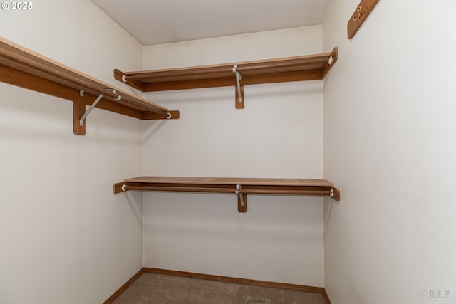305 Pacific St, Columbia City, OR 97018 - spacious closet with carpet