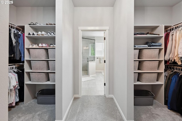 spacious closet with carpet floors