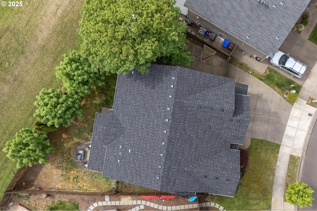 bird's eye view