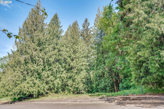 SE Duke St, Portland, OR 97236