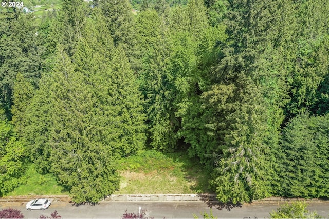 SE Duke St, Portland, OR 97236