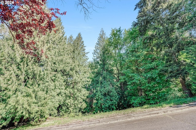 SE Duke St, Portland, OR 97236