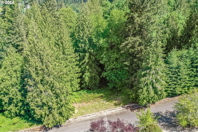 SE Duke St, Portland, OR 97236