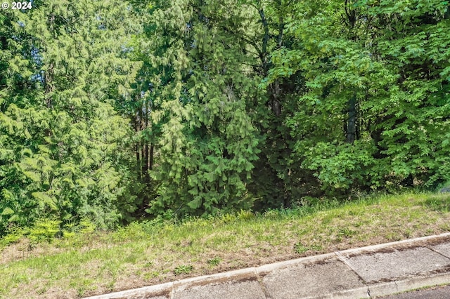 SE Duke St, Portland, OR 97236