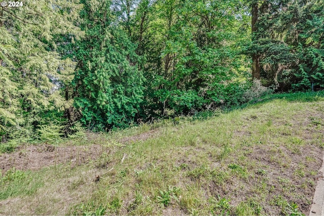 SE Duke St, Portland, OR 97236