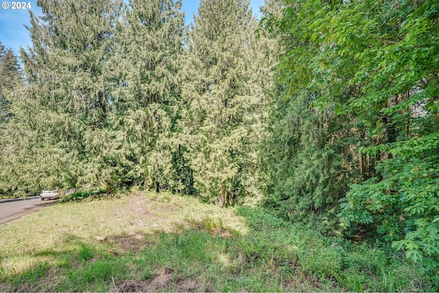 SE Duke St, Portland, OR 97236