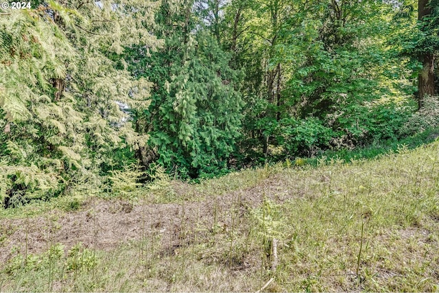 SE Duke St, Portland, OR 97236