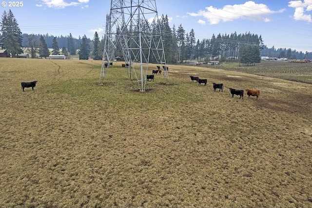 view of property's community featuring a rural view and a yard