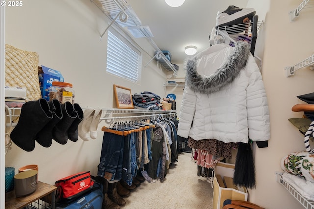 spacious closet featuring carpet