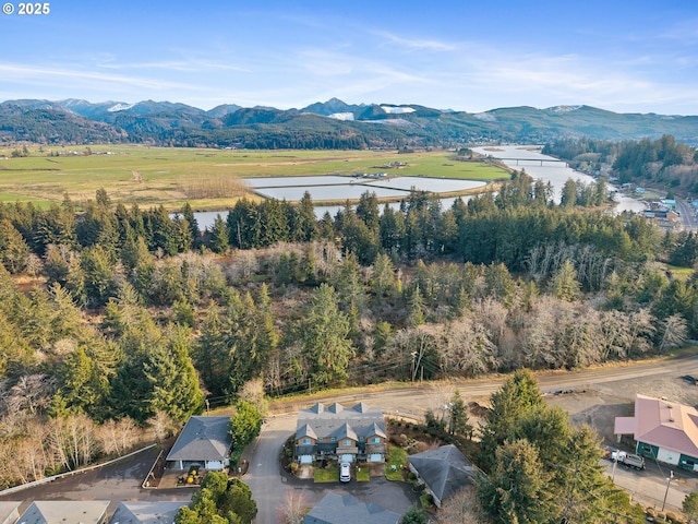 birds eye view of property featuring a water and mountain view