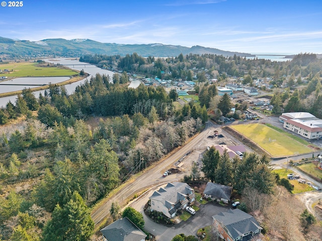 drone / aerial view featuring a mountain view