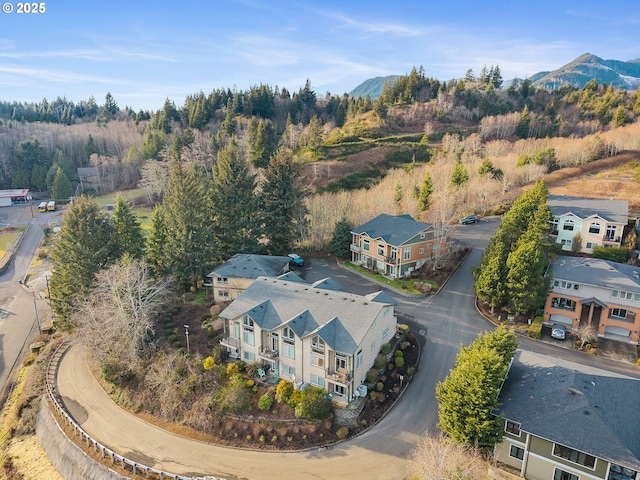 birds eye view of property featuring a mountain view