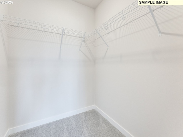 846 NW 178th Way, Ridgefield, WA 98642 - spacious closet with carpet floors