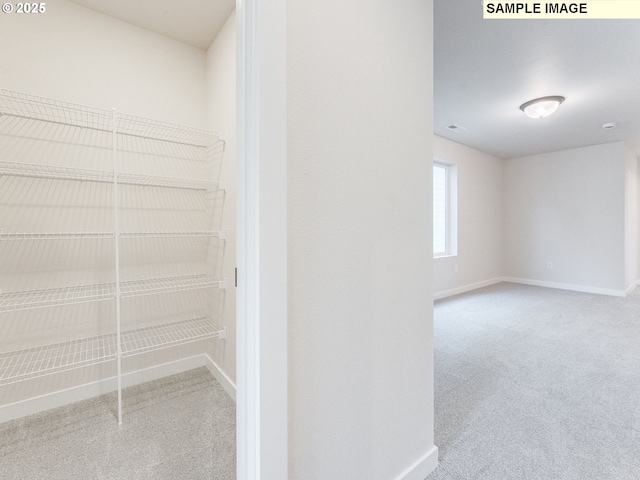 846 NW 178th Way, Ridgefield, WA 98642 - view of pantry