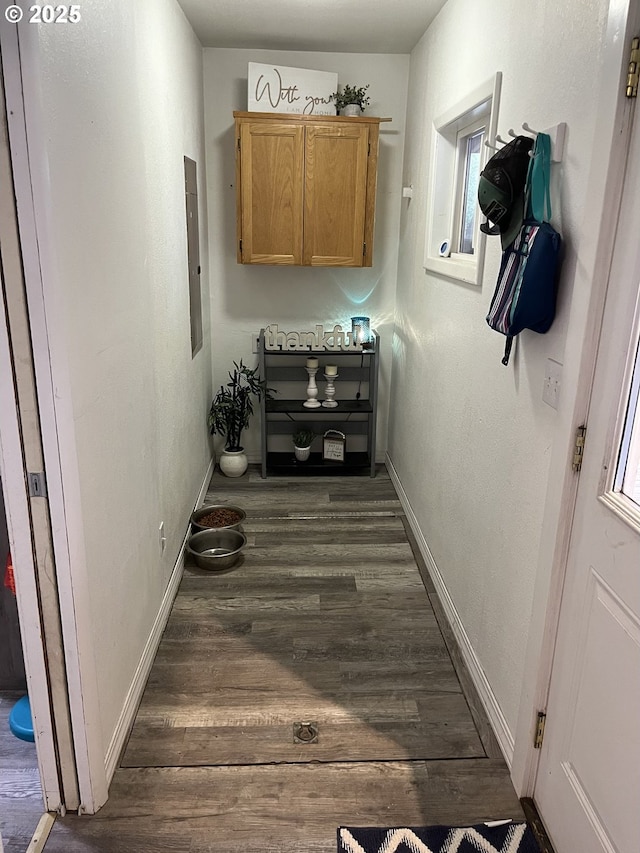 washroom with dark wood-type flooring and electric panel