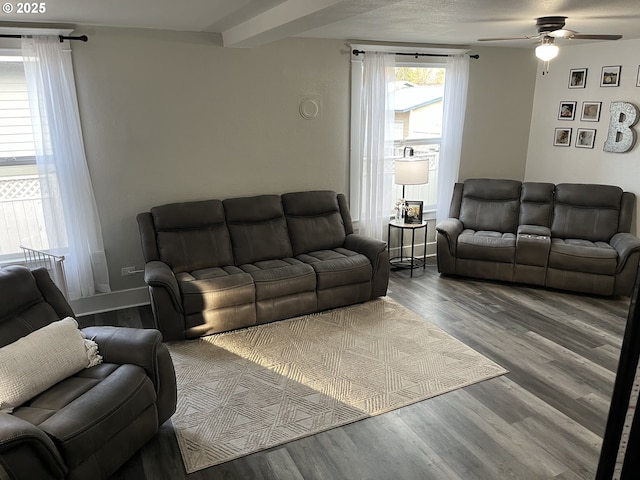 living room with ceiling fan and hardwood / wood-style flooring