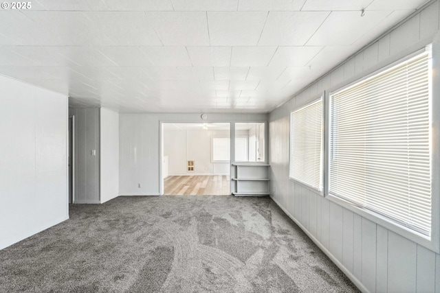 carpeted empty room featuring a wealth of natural light