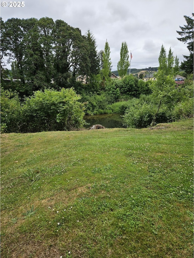 617 SW Monroe St, Sheridan, OR 97378 - view of green lawn