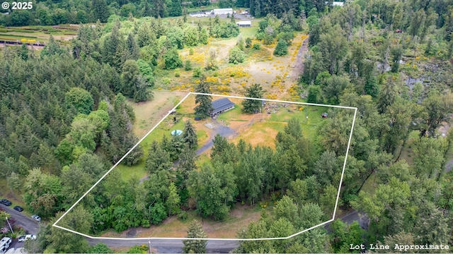 11885 Riverhaven Ln SE, Stayton, OR 97383 - aerial view of property's location with property parcel outlined and a heavily wooded area