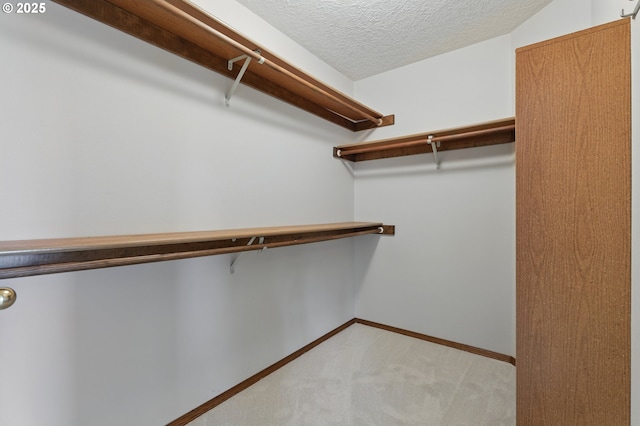 1324 Stonehaven Dr, West Linn, OR 97068 - spacious closet with light carpet