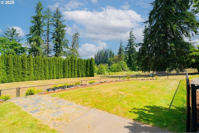 21106 NW 3rd Ct, Ridgefield, WA 98642 - view of yard
