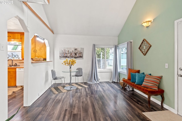 living area with dark hardwood / wood-style flooring, sink, and lofted ceiling