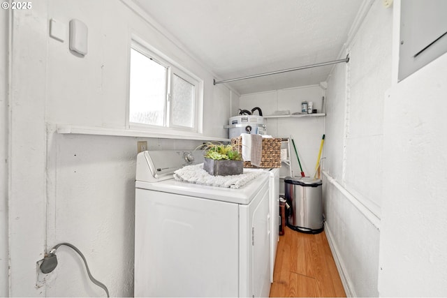 washroom with washer / clothes dryer and light wood-type flooring