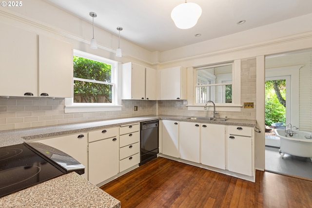 kitchen with a wealth of natural light, dark wood finished floors, a sink, and dishwasher
