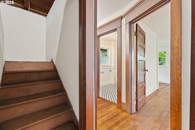 stairway featuring wood-type flooring