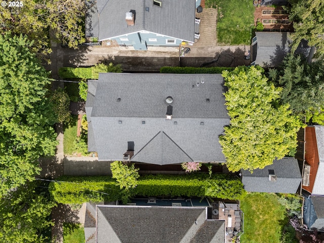 drone / aerial view
