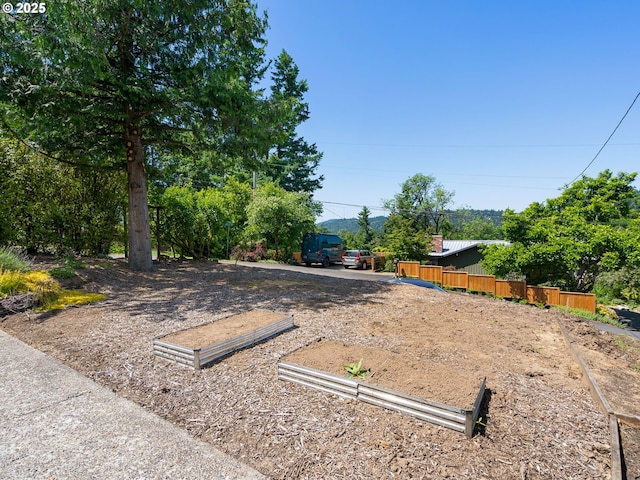 6310 SW 35th Ave, Portland, OR 97221 - view of yard