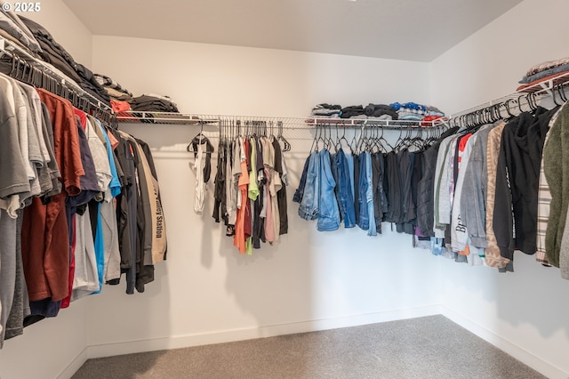 spacious closet featuring carpet