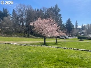 1317 Riggleman Ln, White Salmon, WA 98672 - view of property's community featuring a yard