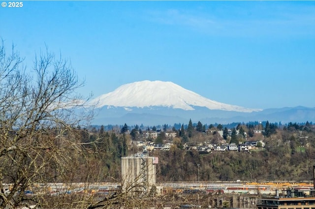 view of mountain feature